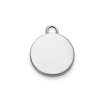 Set Pisces Charm und Halskette Silber