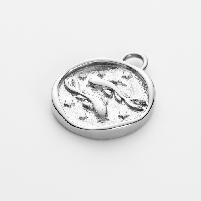 Set Pisces Charm und Halskette Silber