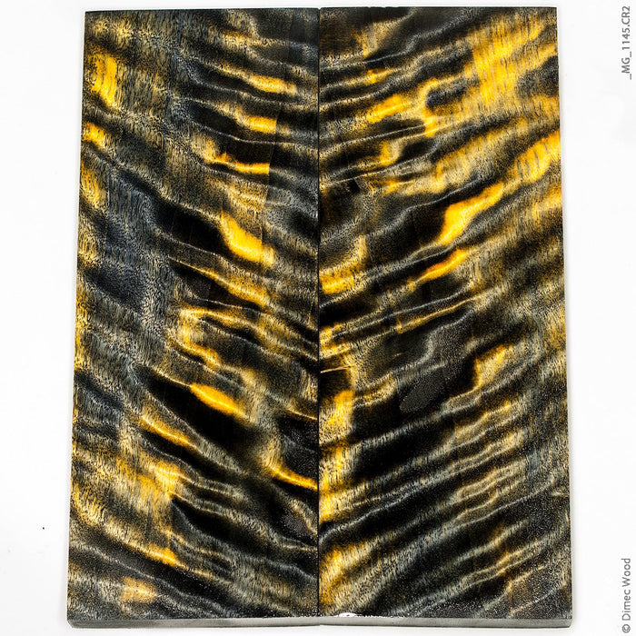 Stabilized curly cotton wood panels