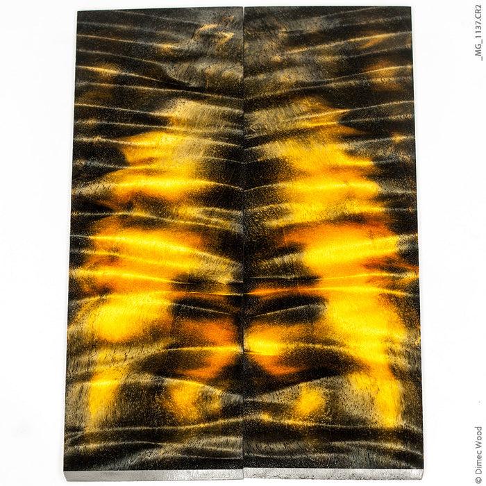 Stabilized curly cotton wood panels
