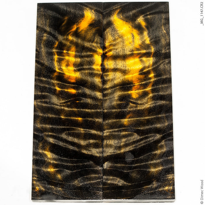 Stabilized curly cotton wood panels