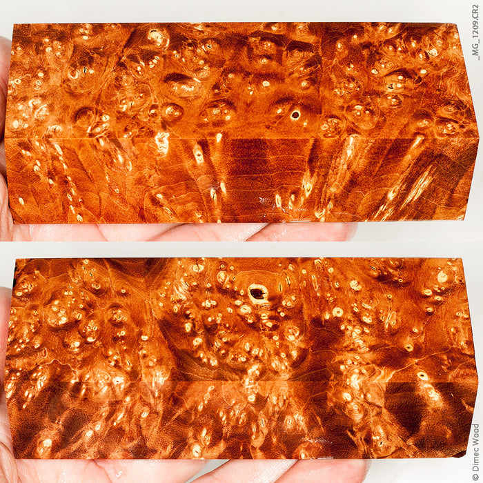 Stabilized wood box elder burl block