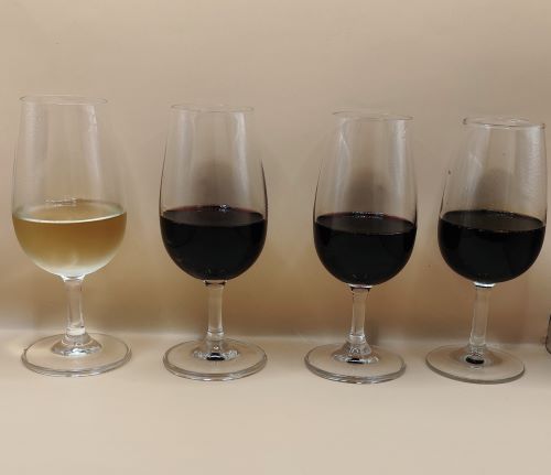 Visita a Espana - Tasting & Tapas Night