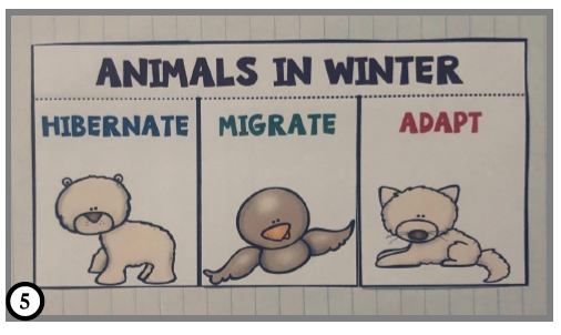 Winter Interactive Foldable Booklets