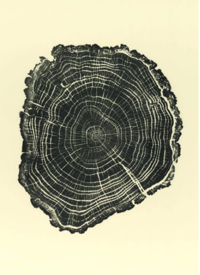 Woodcut Postcards by Bryan Nash Gill