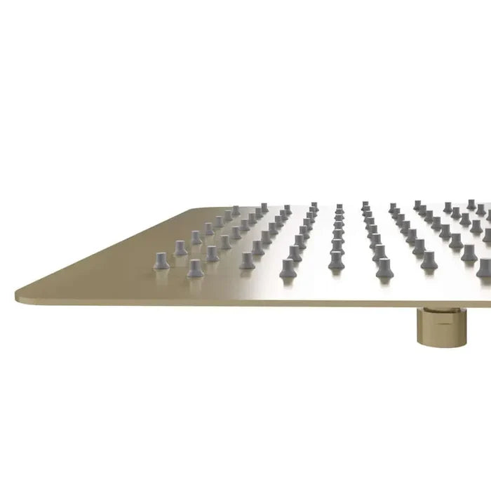 ZLINE Bliss 12 In. Oversized Shower Head in Champagne Bronze (BLS-H12-CB) detail.