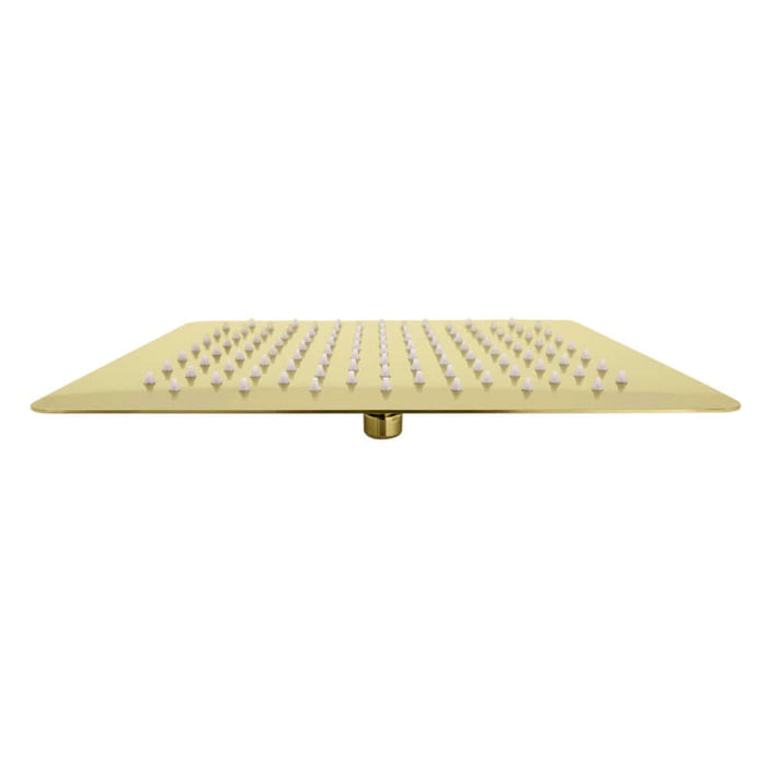 ZLINE 12 in. Oversized Bliss Shower Head in Polished Gold (BLS-H12-PG) under.
