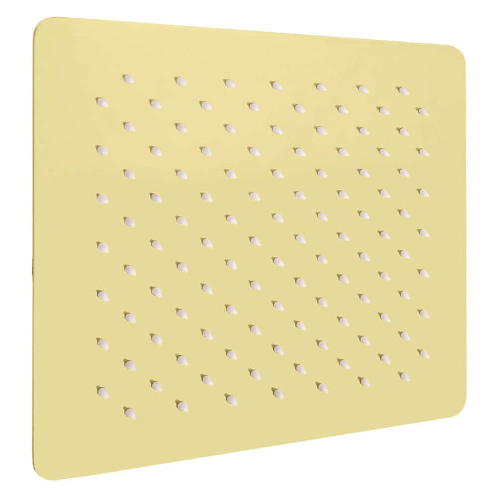 ZLINE 8 in. Bliss Shower Head in Polished Gold (BLS-H8-PG) main image.